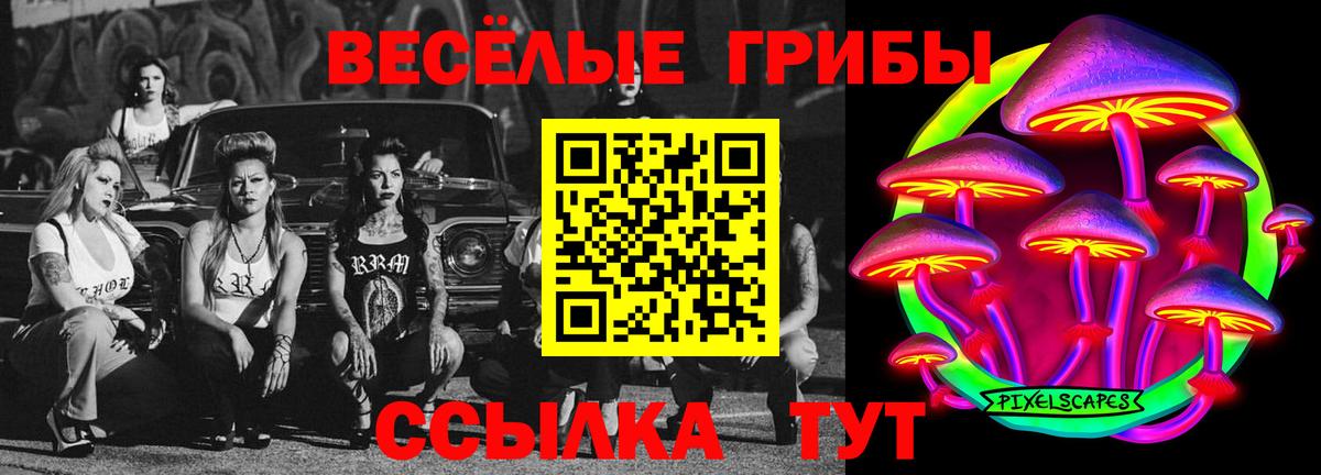 что такое наркотик  Вход с VPN  Великие Луки  Псилоцибиновые грибы прущие грибы  Галлюциногенные грибы Magic Shrooms 