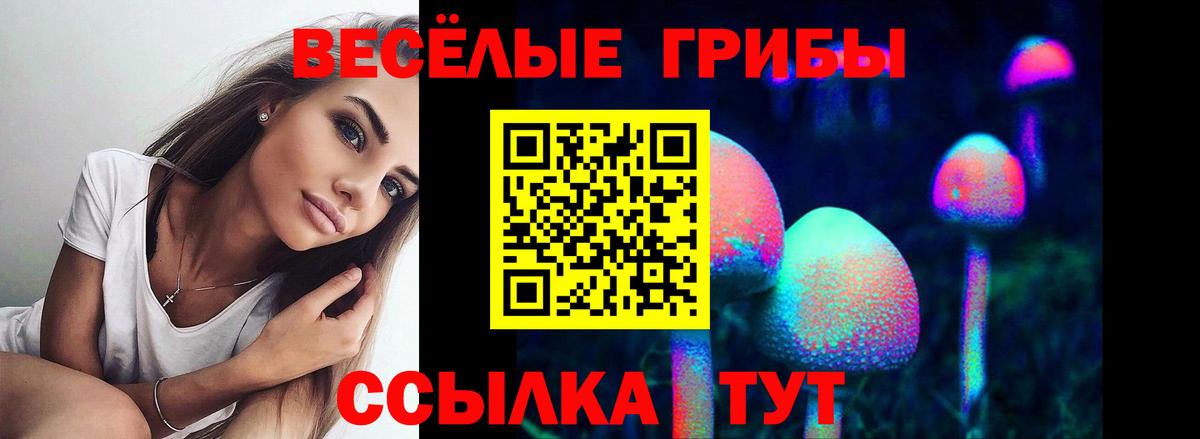 Псилоцибиновые грибы Psilocybe Великие Луки